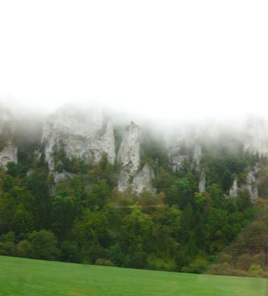 ��܇����(n��i)���µĺ�ɭ��